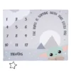 Lambs & Ivy Star Wars The Child/Grogu/Baby Yoda Fleece Milestone Blanket W/ Star -Nursery Furniture Store GUEST 171a6a12 dc5a 44ba b057 1c419fa781e1
