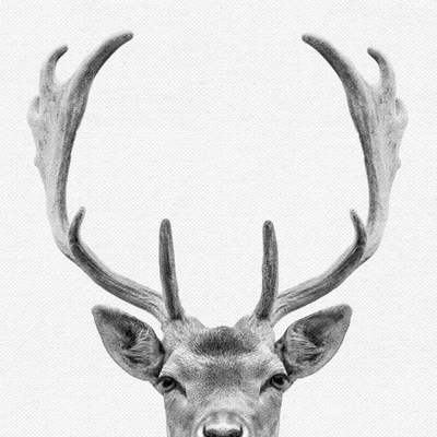 Set Of 8- 11x11 Gallery Square Framed Prints W/ Mats Decorative Wall Art Set - Black And White Jungle Nursery - Americanflat With Mat 9 Set Of 8- 11x11 Gallery Square Framed Prints W/ Mats Decorative Wall Art Set - Black And White Jungle Nursery - Americanflat With Mat - Image 7