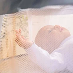 Bright Starts Disney Baby Winnie The Pooh Soothing Baby Bassinet - Slumber Party -Nursery Furniture Store GUEST 1a668770 99c0 4a74 a007 2fa3c4c493ce