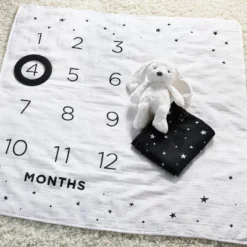 Milestone Swaddle Baby Blanket With Felt Frame - Black And White - Cloud Island™