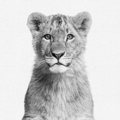 Set Of 8- 11x11 Gallery Square Framed Prints W/ Mats Decorative Wall Art Set - Black And White Jungle Nursery - Americanflat With Mat 6 Set Of 8- 11x11 Gallery Square Framed Prints W/ Mats Decorative Wall Art Set - Black And White Jungle Nursery - Americanflat With Mat - Image 4